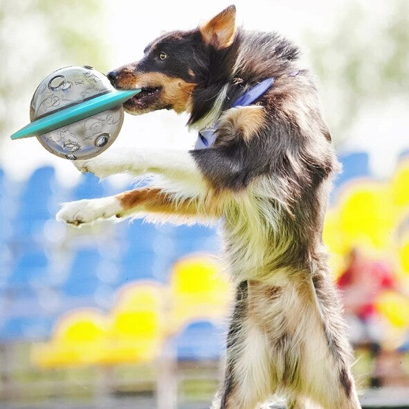 Platillo volador para perros, juego de discos voladores, juguetes con fugas, bola alimentadora de comida lenta