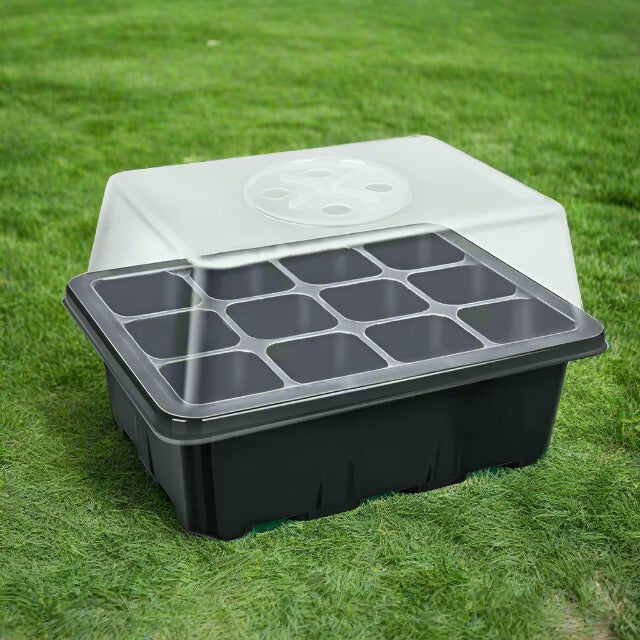 12-Seed Sprout Grid Germination Box Tray