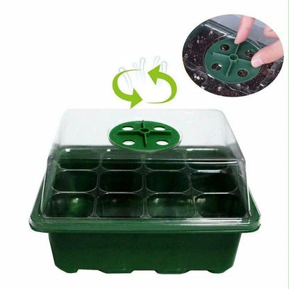 12-Seed Sprout Grid Germination Box Tray