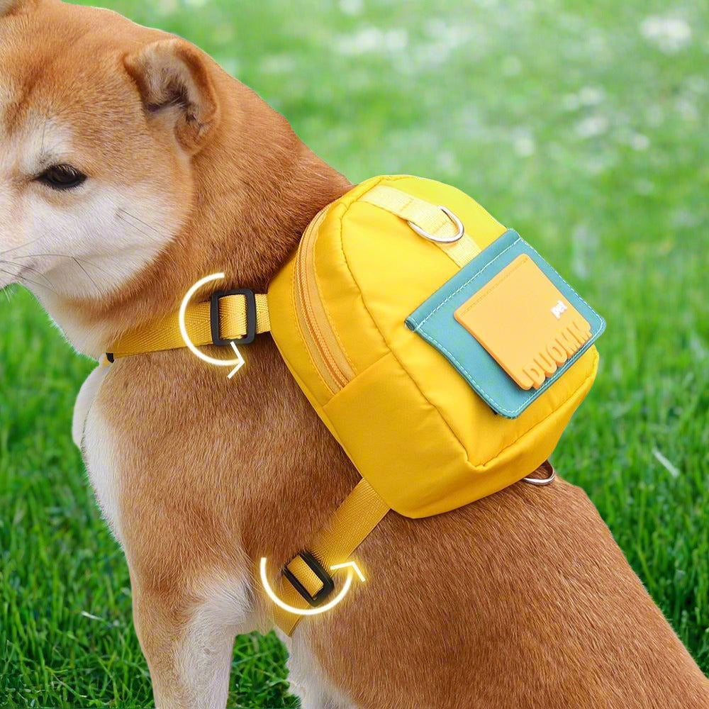 Cute Pet School Bag Backpack + Leash