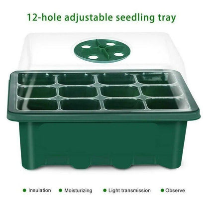 12-Seed Sprout Grid Germination Box Tray