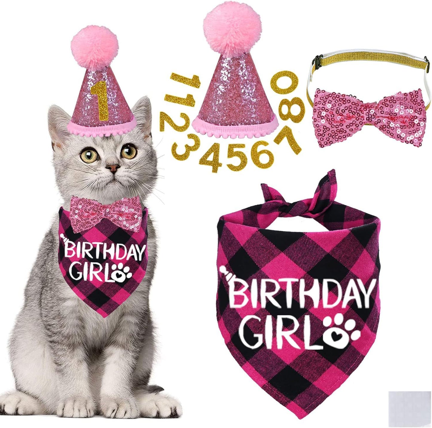 Pet Birthday Plaid Scarf Bandana, Glitter Hat & Bow Tie Set