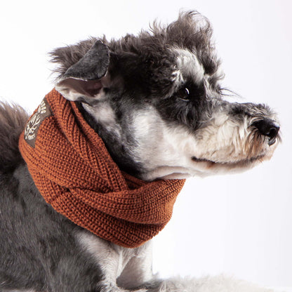 Heavy Knitted Winter Pet Scarf